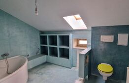 Casa P+M, 240 mp utili, teren 1000 mp, front 20 ml, zona Drumul Muntenilor
