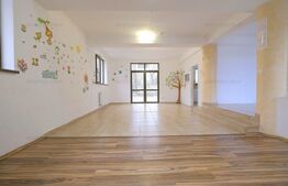 Casă P + E + M parte din duplex, 227 mp utili, 571 mp teren, zona Snagov