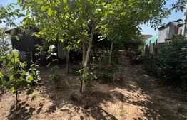 Teren extravilan, 1000 mp, zona Bariera Vâlcii