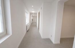 Casa parter, complet renovata, 80 mp, 200 mp teren, zona Catargiu 
