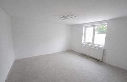 Casa parter, complet renovata, 80 mp, 200 mp teren, zona Catargiu 
