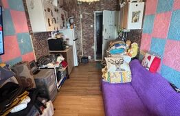 Camera de camin, 12 mp, zona Valea Rosie