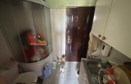 Camera de camin, 12 mp, zona Valea Rosie