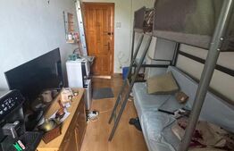 Camera de camin, 12 mp, zona Valea Rosie