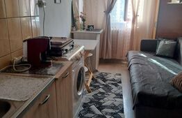 Camera de camin, 10.50 mp, zona Valea Rosie