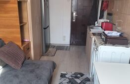 Camera de camin, 10.50 mp, zona Valea Rosie