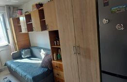 Camera de camin, 10.50 mp, zona Valea Rosie