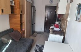 Camera de camin, 10.50 mp, zona Valea Rosie