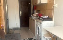 Camera de camin, 10.50 mp, zona Valea Rosie