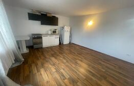 Casa P+1, 121.54 mp, teren 380 mp, mobilata si utilata, zona Romanesti