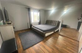 Casa P+1, 121.54 mp, teren 380 mp, mobilata si utilata, zona Romanesti