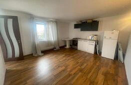 Casa P+1, 121.54 mp, teren 380 mp, mobilata si utilata, zona Romanesti