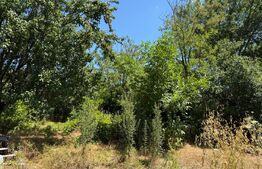 Casa de vanzare, 65 mp, toate utilitatile, 1600 mp teren, zona Perisor 