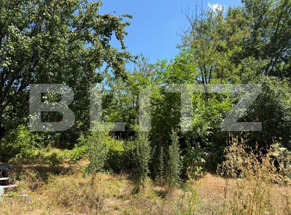 Casa de vânzare 3 camere Perisor - 199810CV | BLITZ Craiova | Poza13