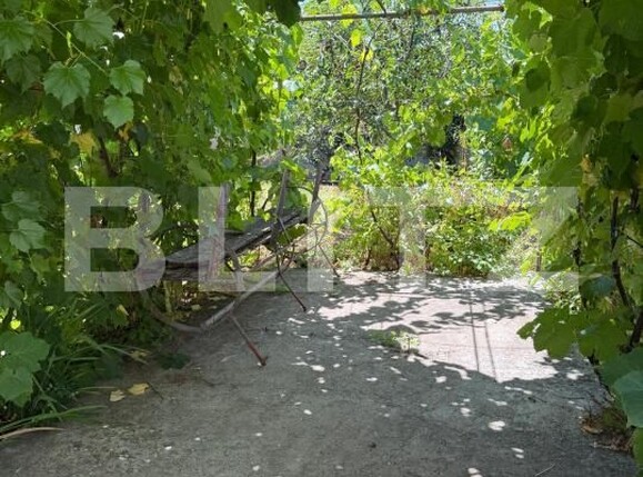 Casa de vânzare 3 camere Perisor - 199810CV | BLITZ Craiova | Poza25