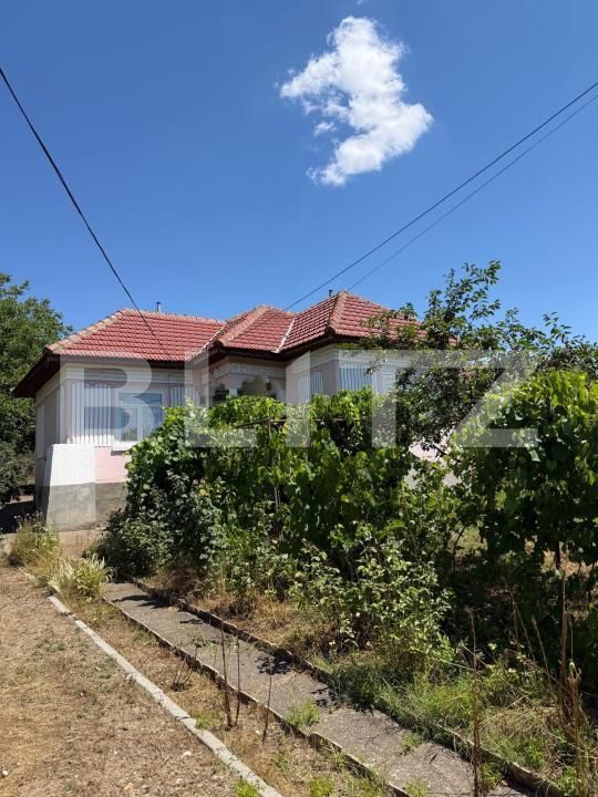 Casa de vânzare 3 camere Perisor - 199810CV | BLITZ Craiova | Poza4