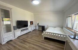 Casa P+M, 141.8 mp utili, teren 562 mp, mobilata modern, zona Brestei