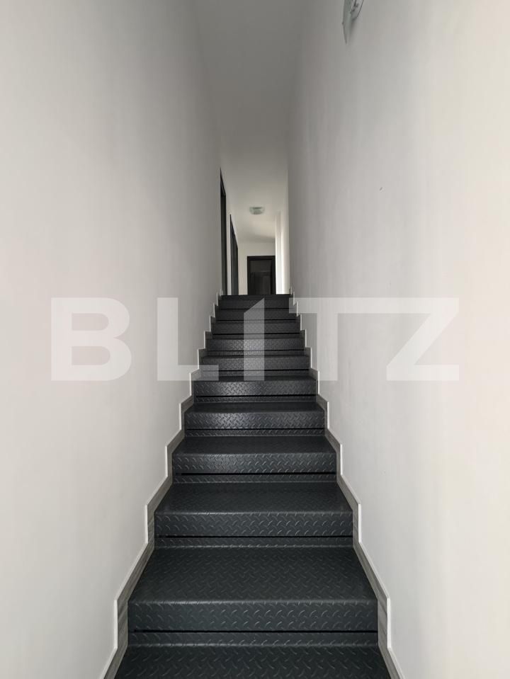 Spațiu industrial de închiriat Malu Mare - 199909SII | BLITZ Craiova | Poza7