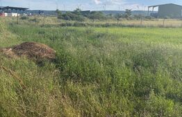 Teren de vanzare, 2090 mp, zona Gara Filiasi