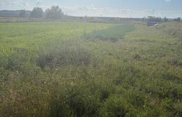 Teren de vanzare, 2090 mp, zona Gara Filiasi