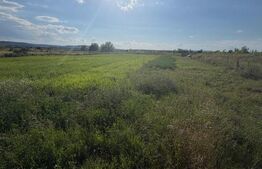 Teren de vanzare, 2090 mp, zona Gara Filiasi