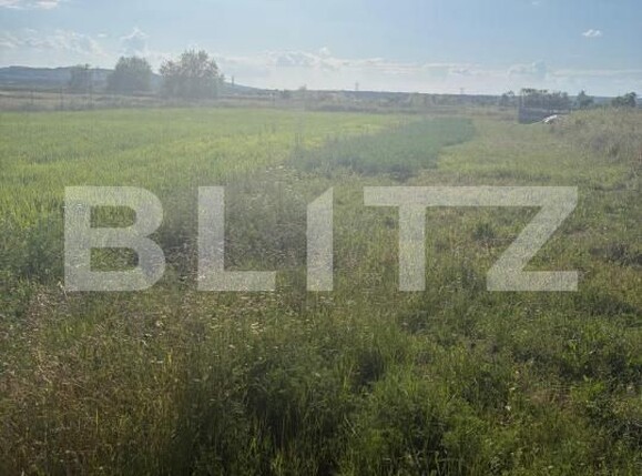 Teren de vânzare Filiaşi - 200065TV | BLITZ Craiova | Poza4