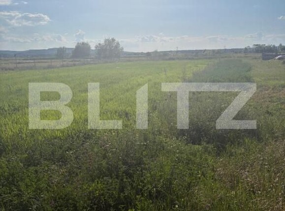 Teren de vânzare Filiaşi - 200065TV | BLITZ Craiova | Poza1