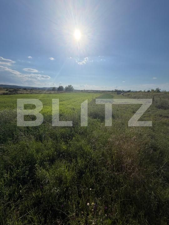 Teren de vânzare Filiaşi - 200065TV | BLITZ Craiova | Poza2