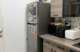 Apartament cu 3 camere, renovat, 52 mp, etaj 1, zona Hotel Ramada