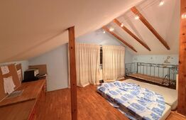 Clădire P + M, 166.90 mp, pentru birouri, curte 100 mp, parcare, zona Siloz