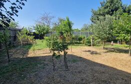 Casa individuala, 60 mp, teren 624mp, deschidere 18ml, Bariera Valcii
