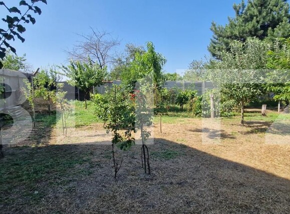 Casa de vânzare 3 camere Bariera Valcii - 200214CV | BLITZ Craiova | Poza14