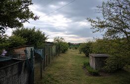 Casă P+E+Beci, 100 mp, 1200 mp teren, zona Preajba(Smart Pub)