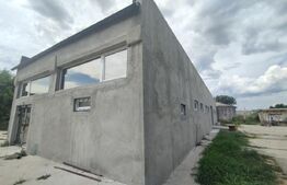 Hală 300 mp, 200 mp teren betonat, zona industrială Podari