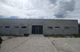 Hală 300 mp, 200 mp teren betonat, zona industrială Podari
