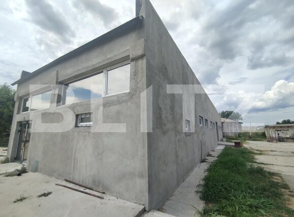 Spațiu industrial de închiriat Podari - 200257SII | BLITZ Craiova | Poza2