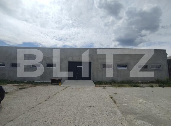 Spațiu industrial de închiriat Podari - 200257SII | BLITZ Craiova | Poza1
