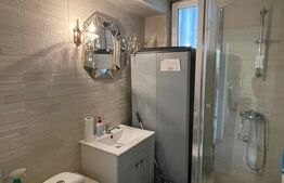 Spatiu comercial de inchiriat, 60 mp - Calea Bucuresti 