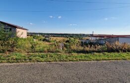 Teren intravilan, 1000 mp, zona Breasta