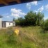 Casa de vânzare 4 camere Brestei - 200357CV - Poza 1 din 17 | BLITZ Craiova | Poza5
