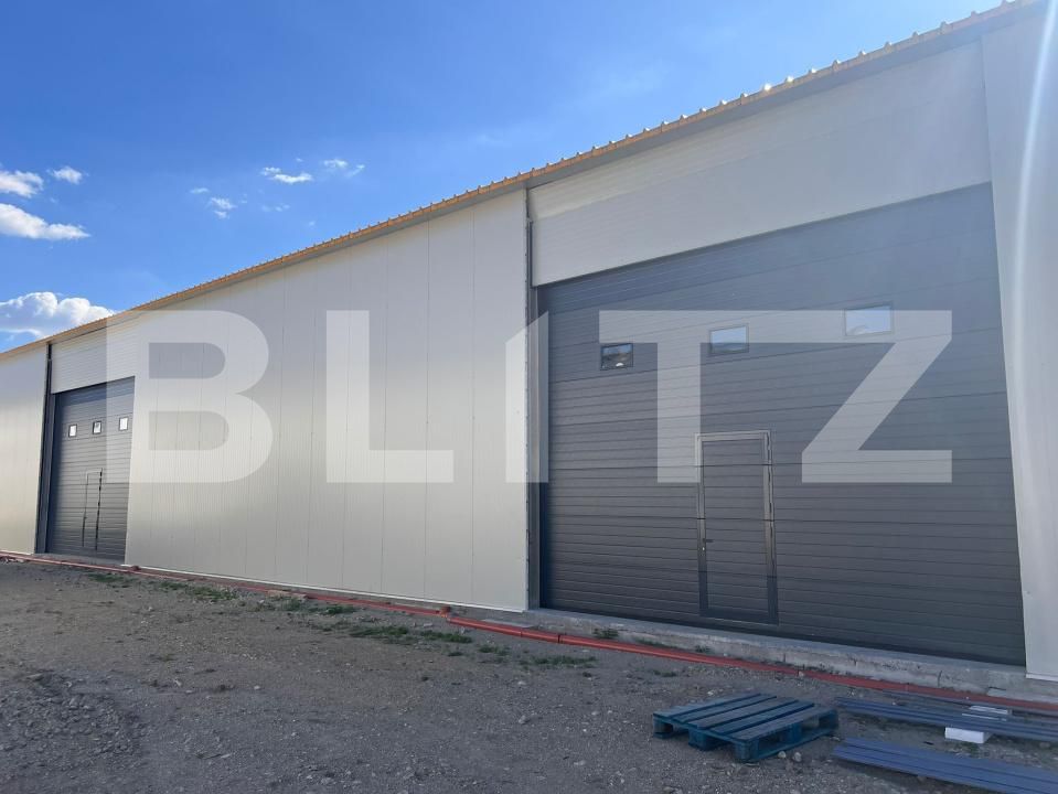 Spațiu industrial de închiriat Pielești - 200394SII | BLITZ Craiova | Poza7