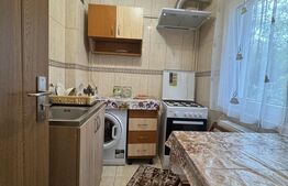 Garsoniera de vanzare, 24.50 mp, zona Rovine