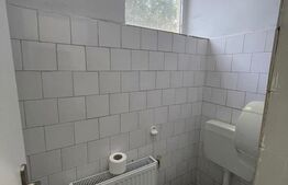Spatiu comercial, 96 mp, zona Brazda lui Novac