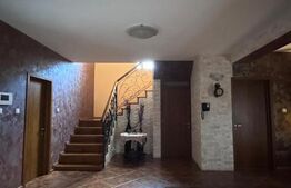 Casa S+P+1, 280 mp utili, 585 mp teren, zona Lăpuș