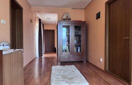 Casa S+P+1, 280 mp utili, 585 mp teren, zona Lăpuș