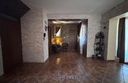 Casa S+P+1, 280 mp utili, 585 mp teren, zona Lăpuș
