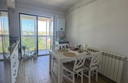 Apartament decomandat, 54 mp, etaj 3, zona Damila Capsunarie