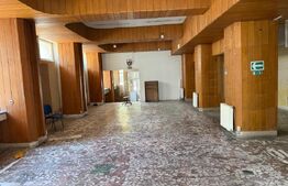 Spatiu comercial de inchiriat, 260 mp,  Centru
