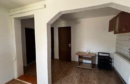 Casa parter+pod, mobilata, 120 mp teren, 15 ml deschidere, zona Catargiu