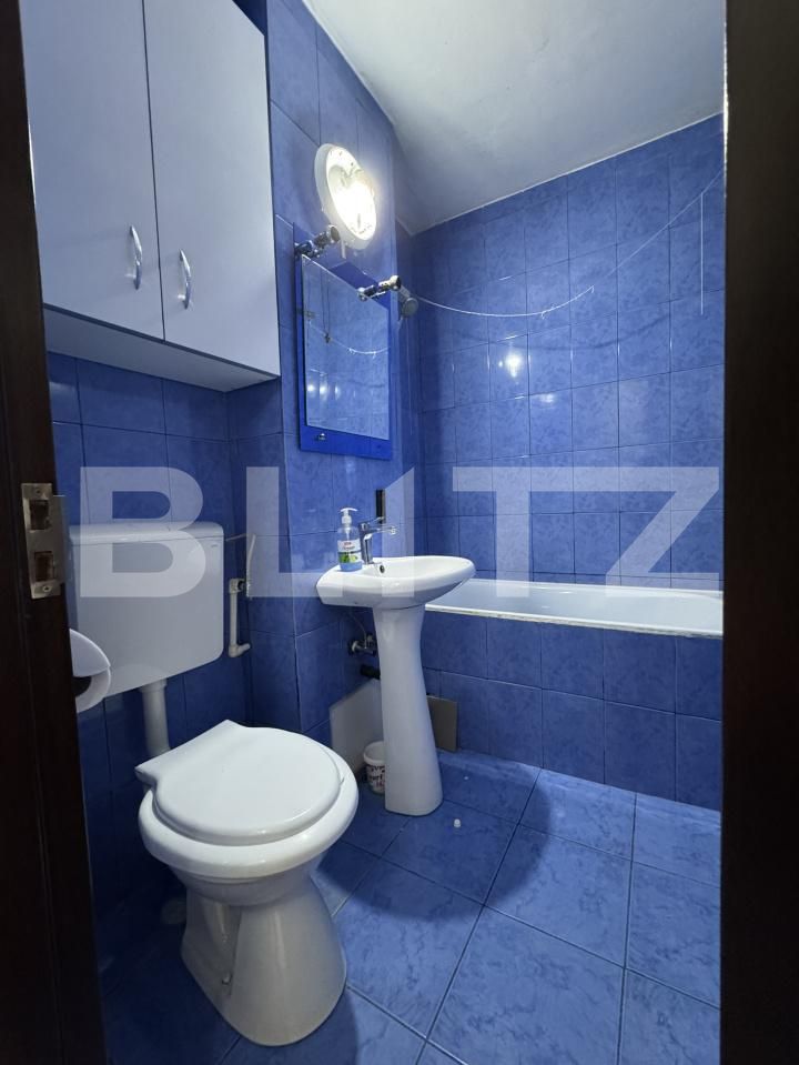 Garsonieră de vânzare Lapus Arges - 200661AV | BLITZ Craiova | Poza2